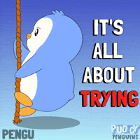You Got This Never Give Up GIF by Pudgy Penguins