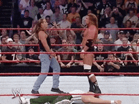 triple h wrestling GIF by WWE
