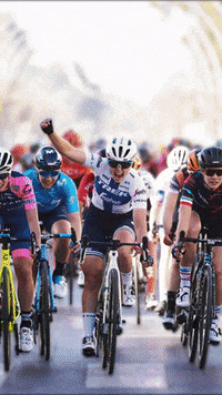 GIF by Trek México