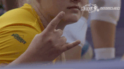 north dakota state bison GIF by NDSU Athletics