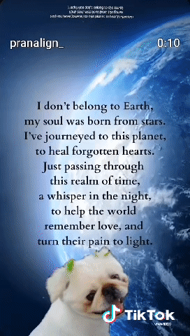 nikkijames15fbd39bead64e72867b56b4c739c2b6 lucky james may312011 GIF