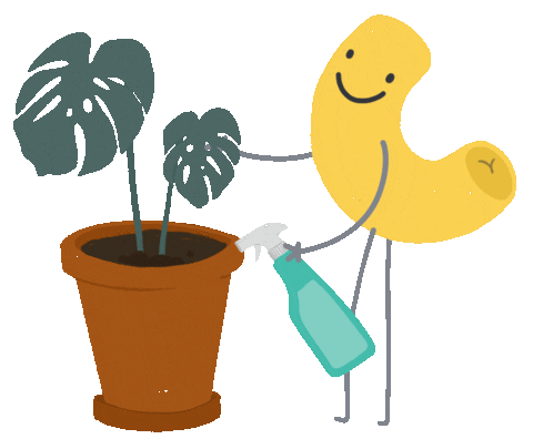 noodlesagency giphyupload plant pasta mac Sticker