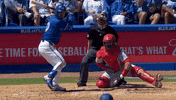Home Run Baseball GIF by Toronto Blue Jays