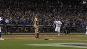 Ny Mets Baseball GIF by MLB