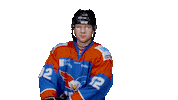unisflyers goal eagles flyers nederland Sticker