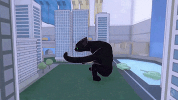 Black Cat Spinning GIF by Xbox