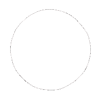 happy daffy duck Sticker by Team Tumult