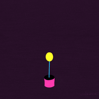 morph frame by frame GIF