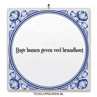 Humor Nl GIF by Tegelspreuken.nl