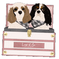 Sticker by Lex & Co
