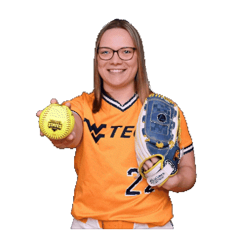 Softball Sticker by WVU Tech Golden Bears