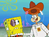 season 5 blackened sponge GIF by SpongeBob SquarePants