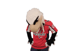Ice Hockey Sport Sticker by NHL