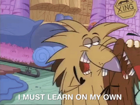 nickrewind giphydvr nicksplat angry beavers giphyab010 GIF