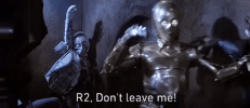 return of the jedi episode 6 GIF by Star Wars