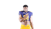 Ncaa Football Brooks Sticker by Cal Athletics
