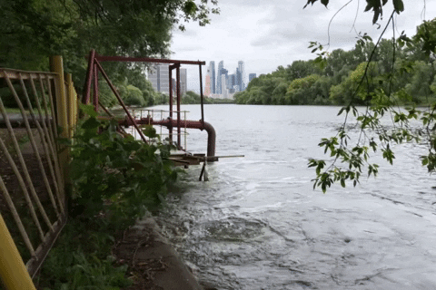 giphyupload moscow GIF