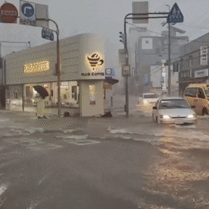 insight_newsroom giphyupload GIF