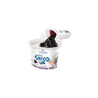 Pavlakis yogurt berries yoghurt blueberries Sticker