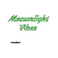 Cat Crypto Sticker by vankedisi