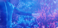 Now Streaming Star Trek GIF by Paramount+