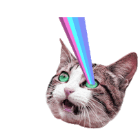 Cat Space Sticker by Kamila Zaczek-Klimek