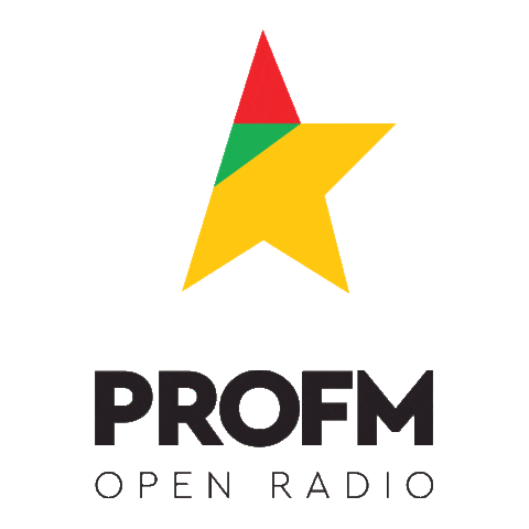 RadioPROFM giphyupload profm whatthefun Sticker