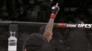 Max Holloway Sport GIF by UFC