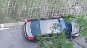 GIF by DAHON Bikes