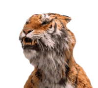 Robert Downey Jr Sticker by Dolittle