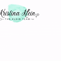 Realestate GIF by The Klein Team