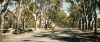 heatwave GIF by Robin Schulz