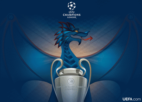 championsleague GIF by UEFA
