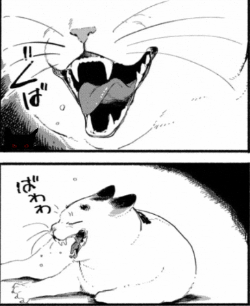 Shocked Wild Cat GIF