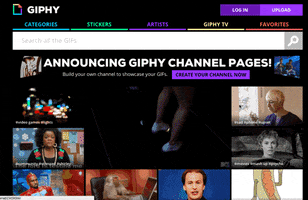 GIF by How To Giphy