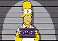 homer simpson GIF