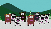 confused cows GIF by South Park 