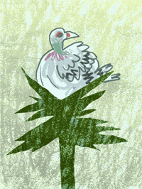 sophieaillustration illustration animals doodle birds GIF