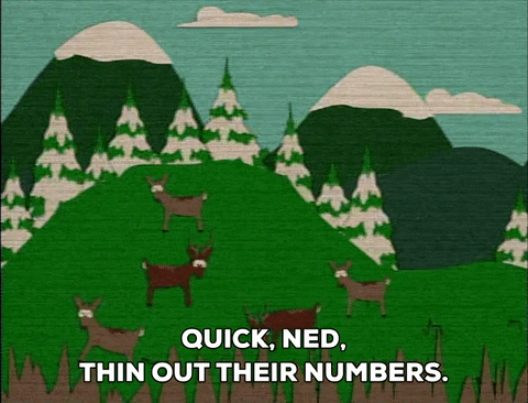 GIF by South Park 