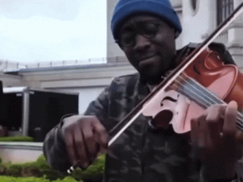 BlackViolinMusic giphyupload music play musical GIF