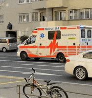 schimmelvelo wheelie schimmelvelo GIF