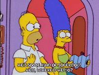 homer simpson episode 20 GIF