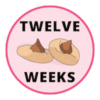 Pregnancy Baby Size Sticker by Bump Boxes