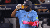 Blue Jays Baseball GIF by Toronto Blue Jays