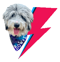 David Bowie Dog Sticker
