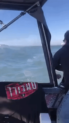 California Fishermen Rescue Romanian Who Fell Off Cargo Ship Near San Francisco