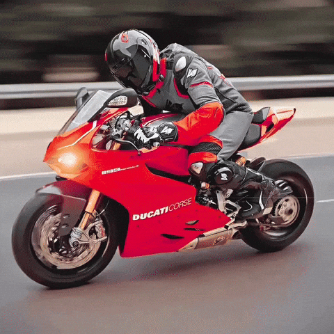 racing_rabbit yes right moto ducati GIF