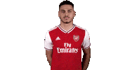arsenal football soccer celebrate futbol Sticker