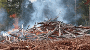 Fire GIF by JC Property Professionals