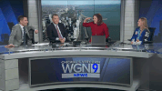 kendall coyne olympics GIF by WGN Morning News
